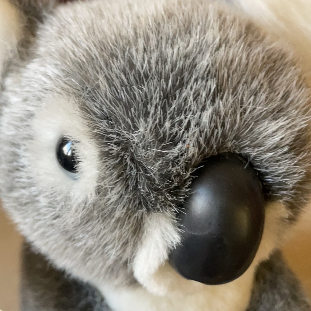 NWT Australian made koala bear with wooden boomerang, artificial fur - Picture 7 of 9